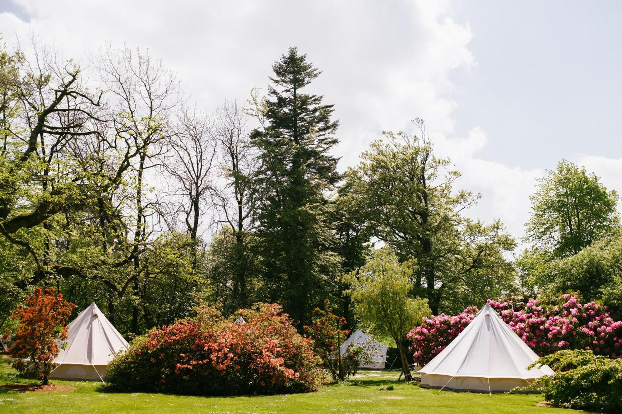 Ballyvolane House Fermoy Phòng bức ảnh