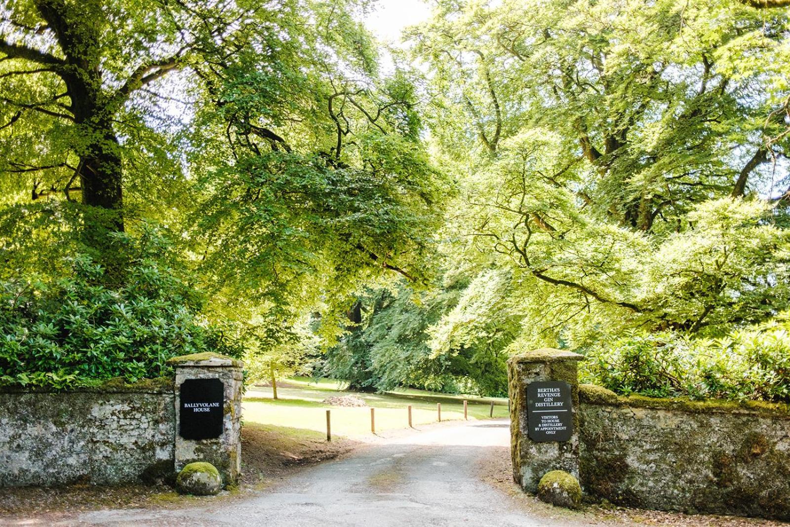 Ballyvolane House Fermoy Ngoại thất bức ảnh