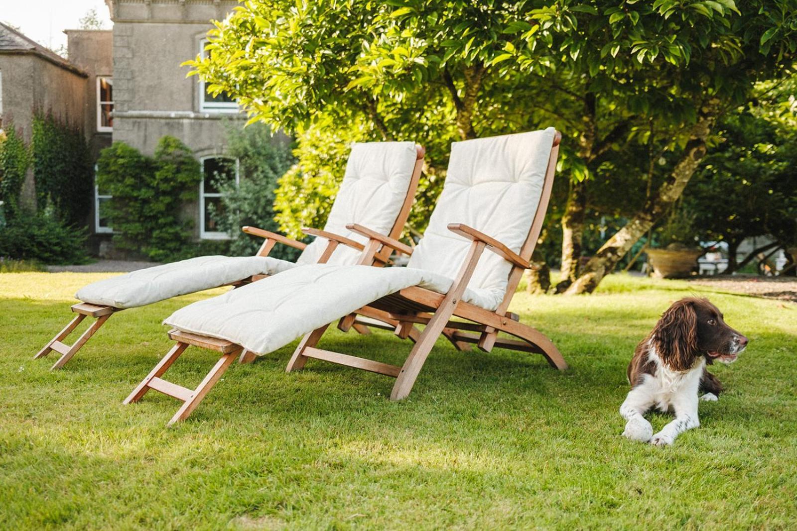 Ballyvolane House Fermoy Ngoại thất bức ảnh
