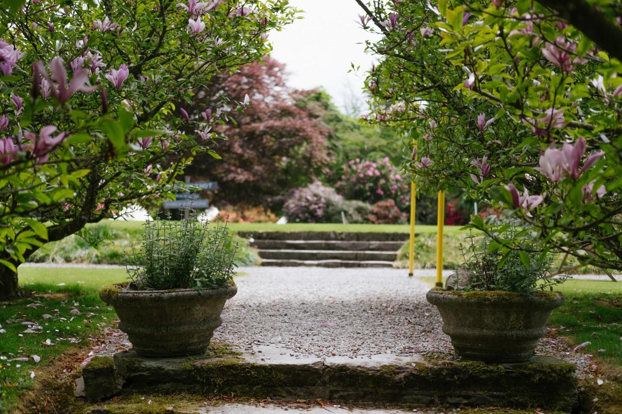 Ballyvolane House Fermoy Ngoại thất bức ảnh